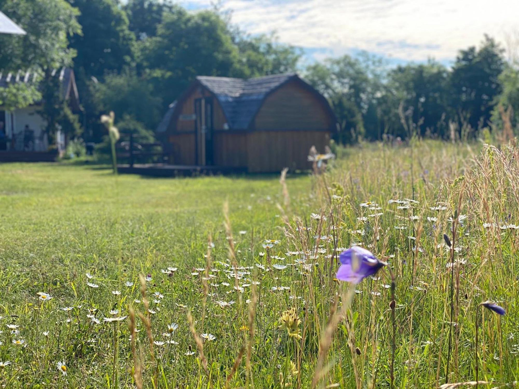 Kaespri Farmstay Koguva المظهر الخارجي الصورة